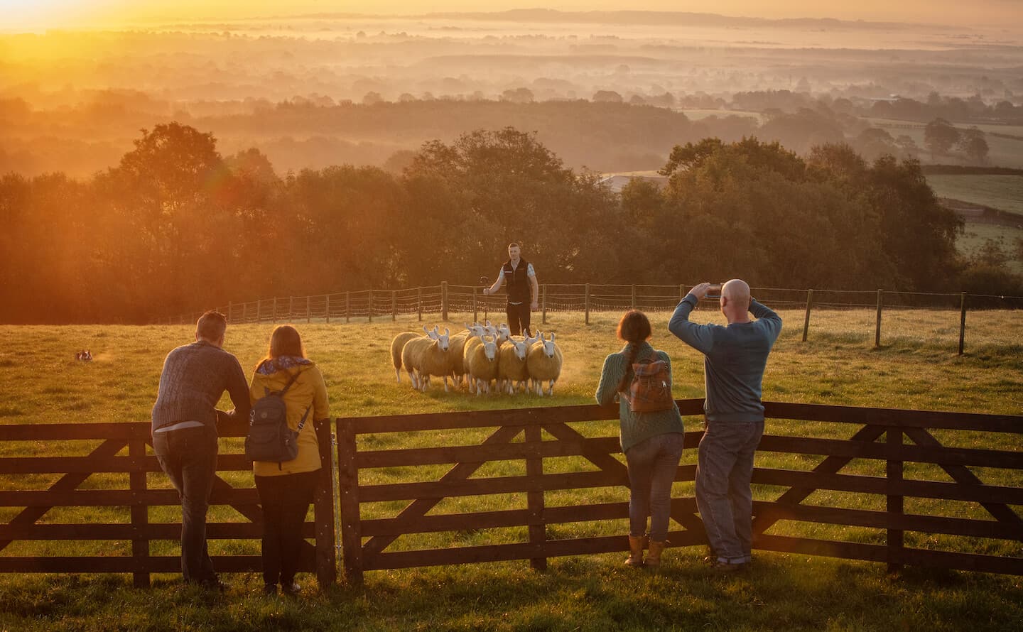 Tree planting in Belfast