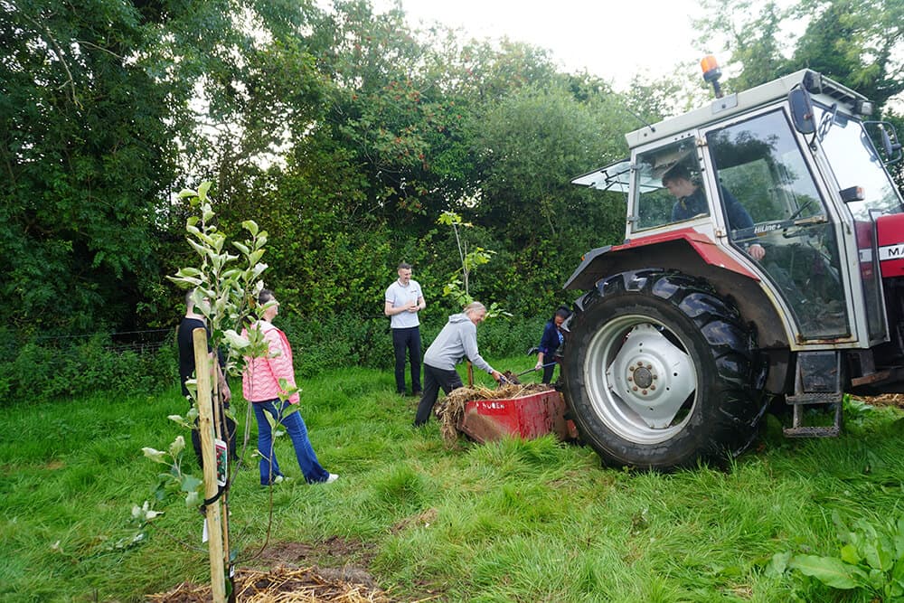 Tree planting in Belfast — photo 4