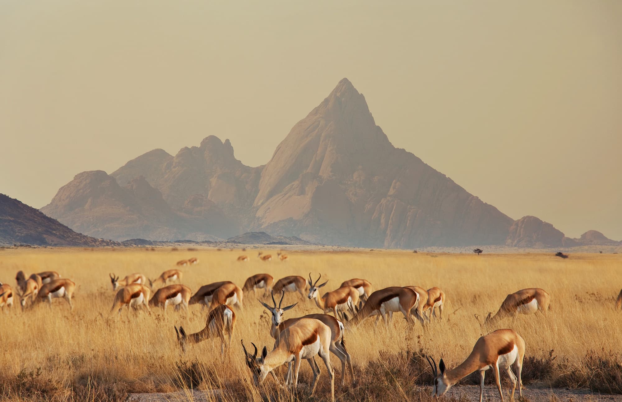 Africa - 2